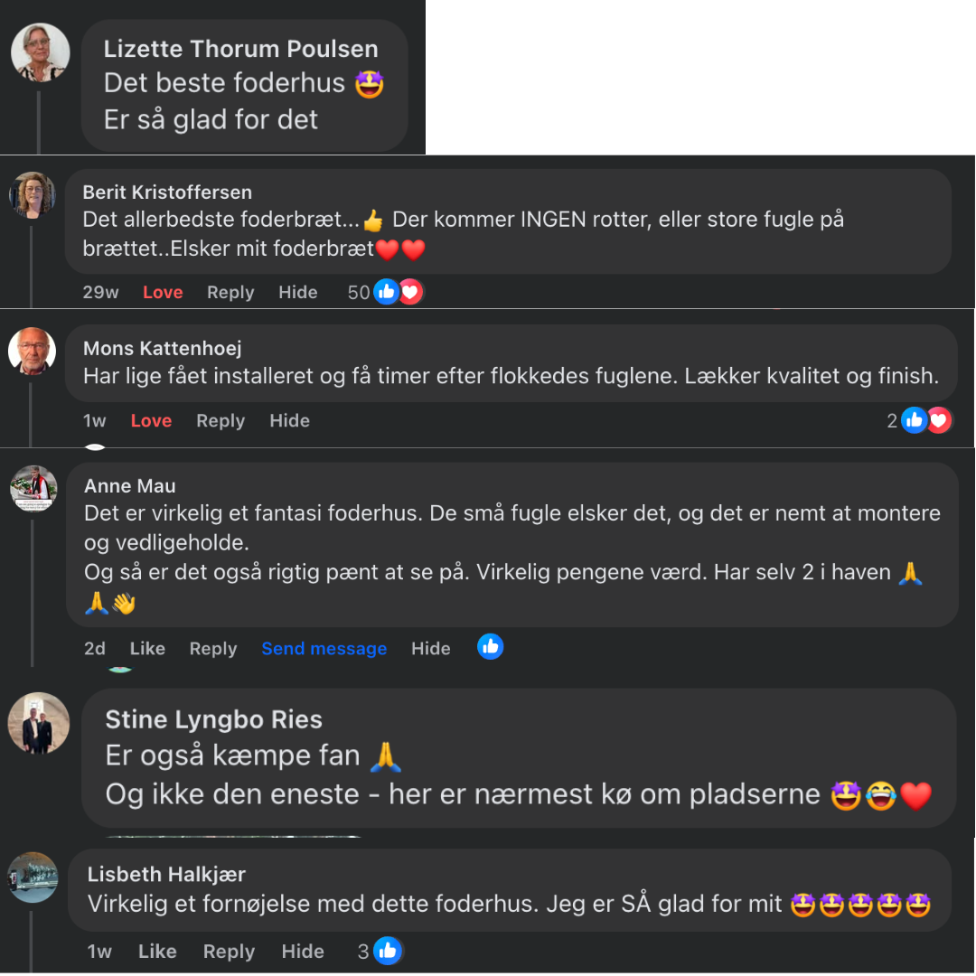 Rottesikret fuglehus (Forudbestilling nov)