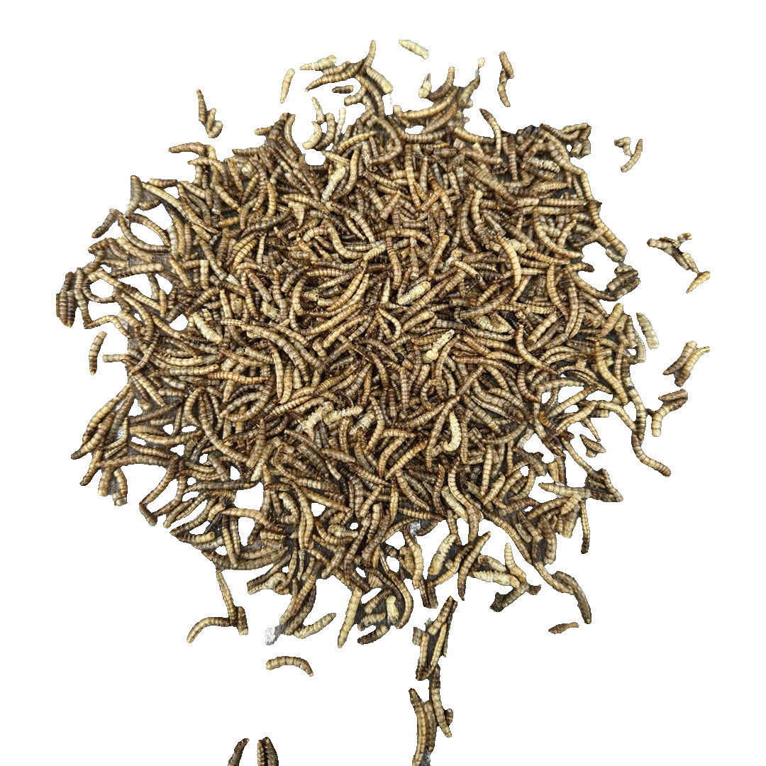 Sortenæb tørrede melorme 0,5 kg