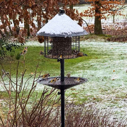 Rottesikret fuglehus (Forudbestilling nov)