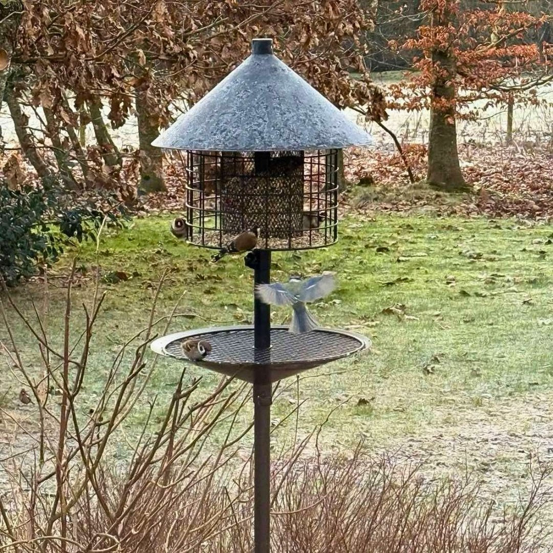 Rottesikret fuglehus (Forudbestilling nov)
