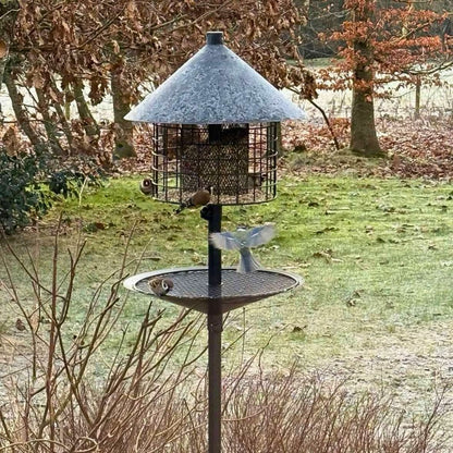 Rottesikret fuglehus (Forudbestilling nov)