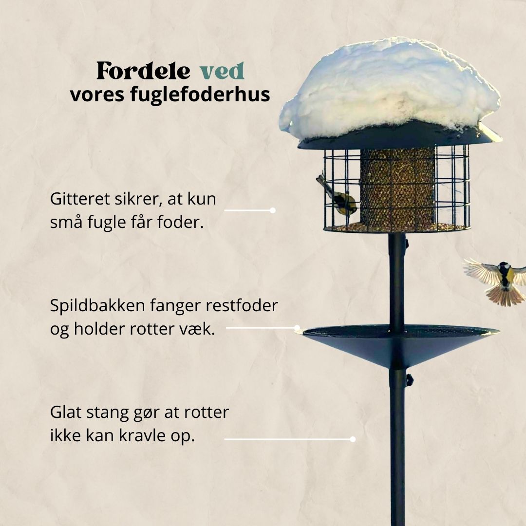 Rottesikret fuglehus (Forudbestilling marts)