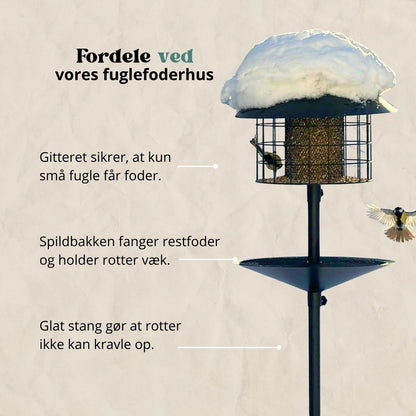 Rottesikret fuglehus (Forudbestilling marts)