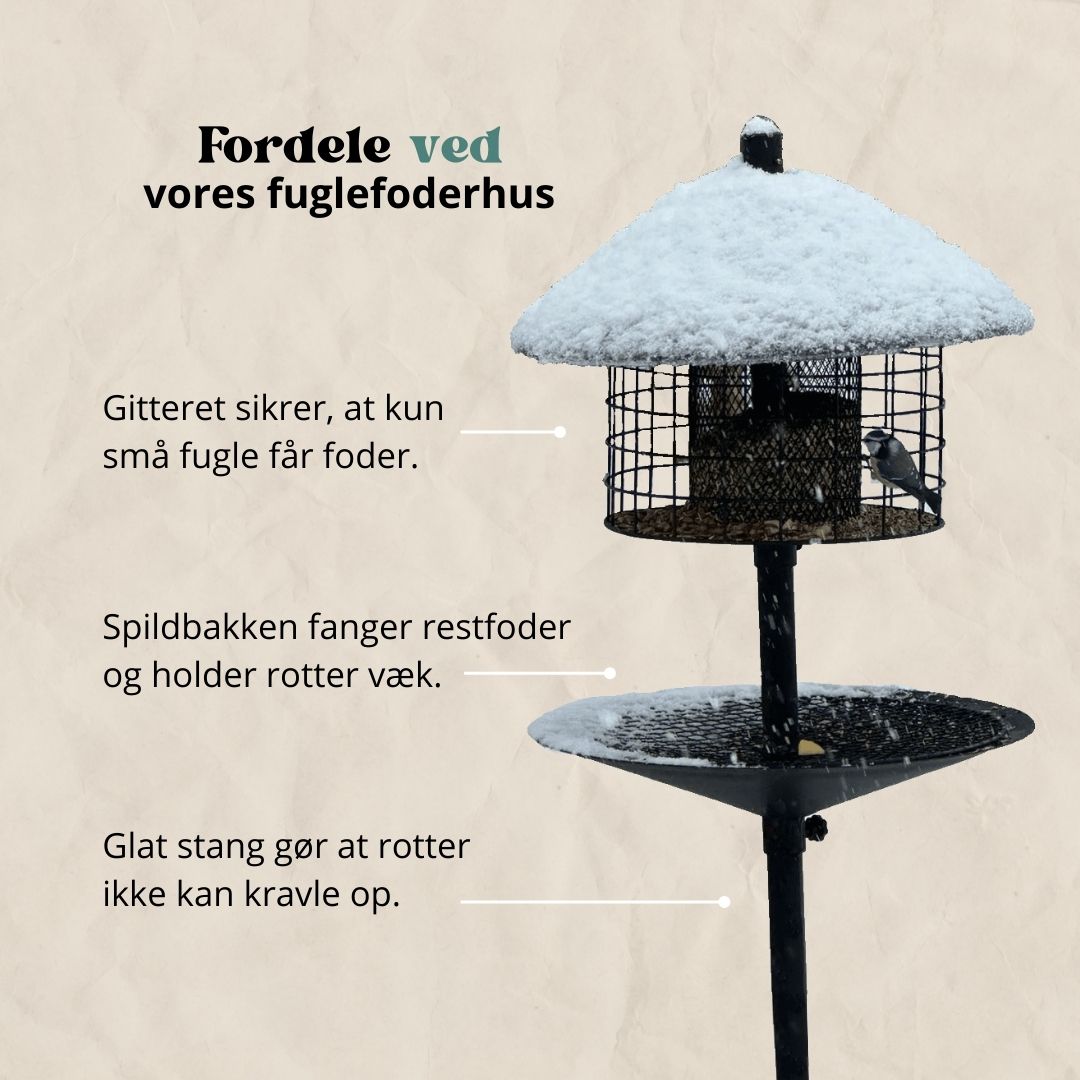 Rottesikret fuglehus (Forudbestilling nov)