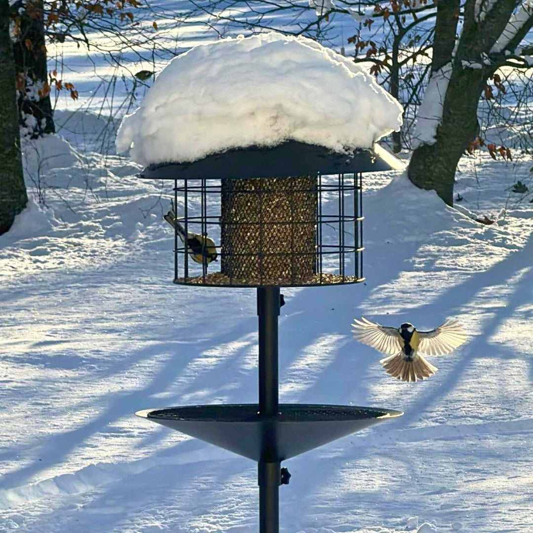 Rottesikret fuglehus (Forudbestilling marts)