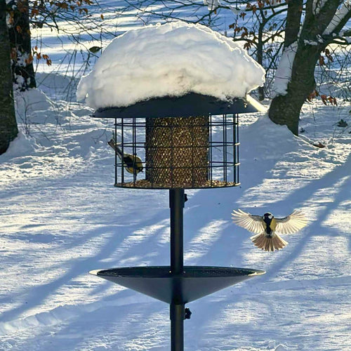 Rottesikret fuglehus (Forudbestilling marts)